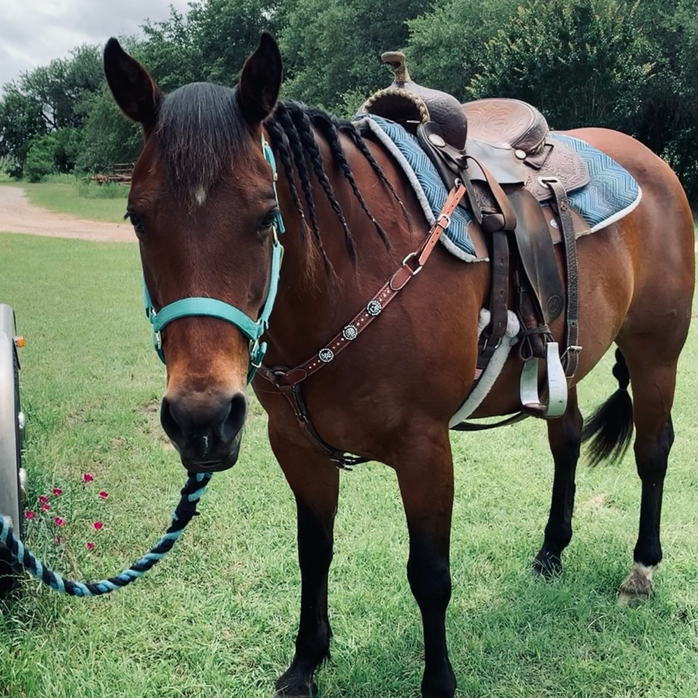 Meet your Posher, Piper